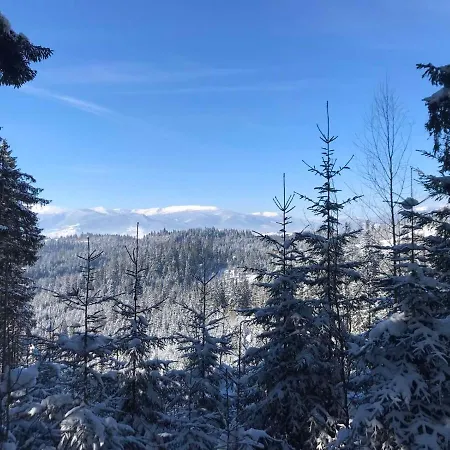 Novoe Shale ホテル *