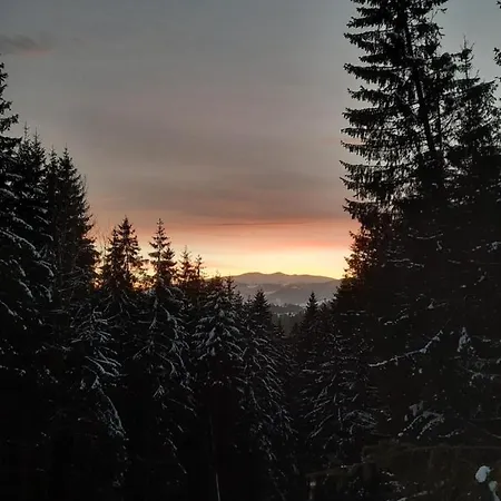 Novoe Shale ホテル