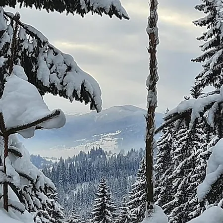 Novoe Shale ホテル ヤブルニツァ