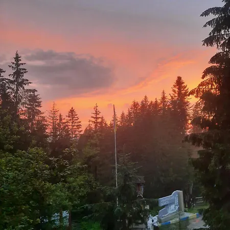 Novoe Shale ホテル *