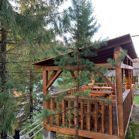 ホテル Novoe Shale ヤブルニツァ