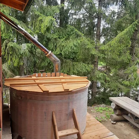 Novoe Shale * ヤブルニツァ