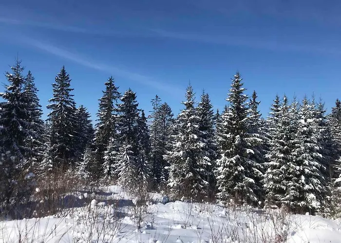 Отель Novoe Shale