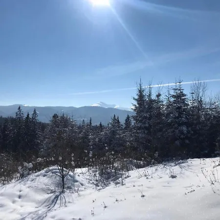 Novoe Shale 亚布卢尼齐亚