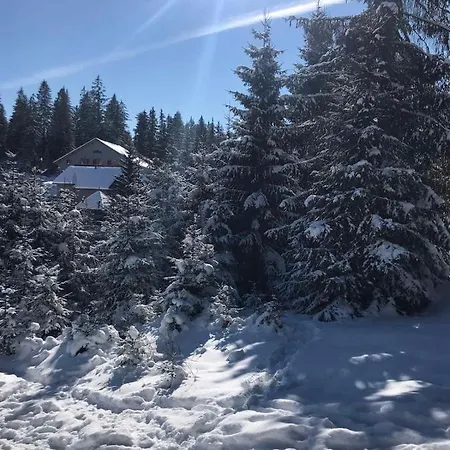 酒店 Novoe Shale *