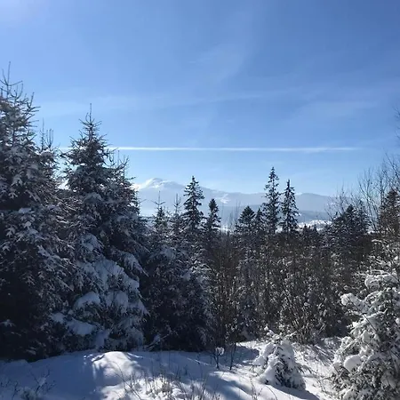 Novoe Shale 酒店 亚布卢尼齐亚