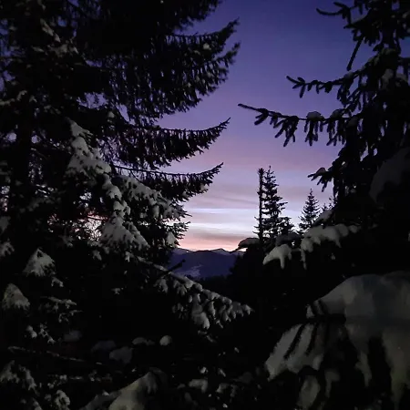 Novoe Shale 酒店 亚布卢尼齐亚