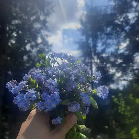 Novoe Shale 酒店 *