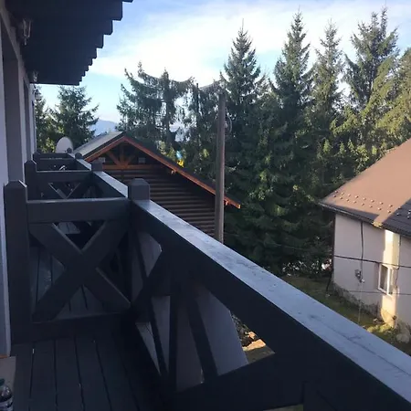 Novoe Shale * 亚布卢尼齐亚